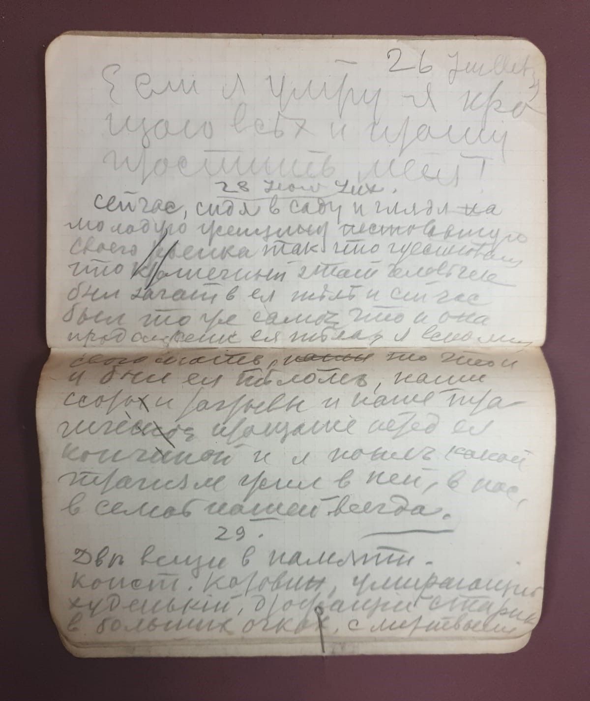 Дневник 1939 года: “Если я умру, я прощаю всех и прошу простить меня…”