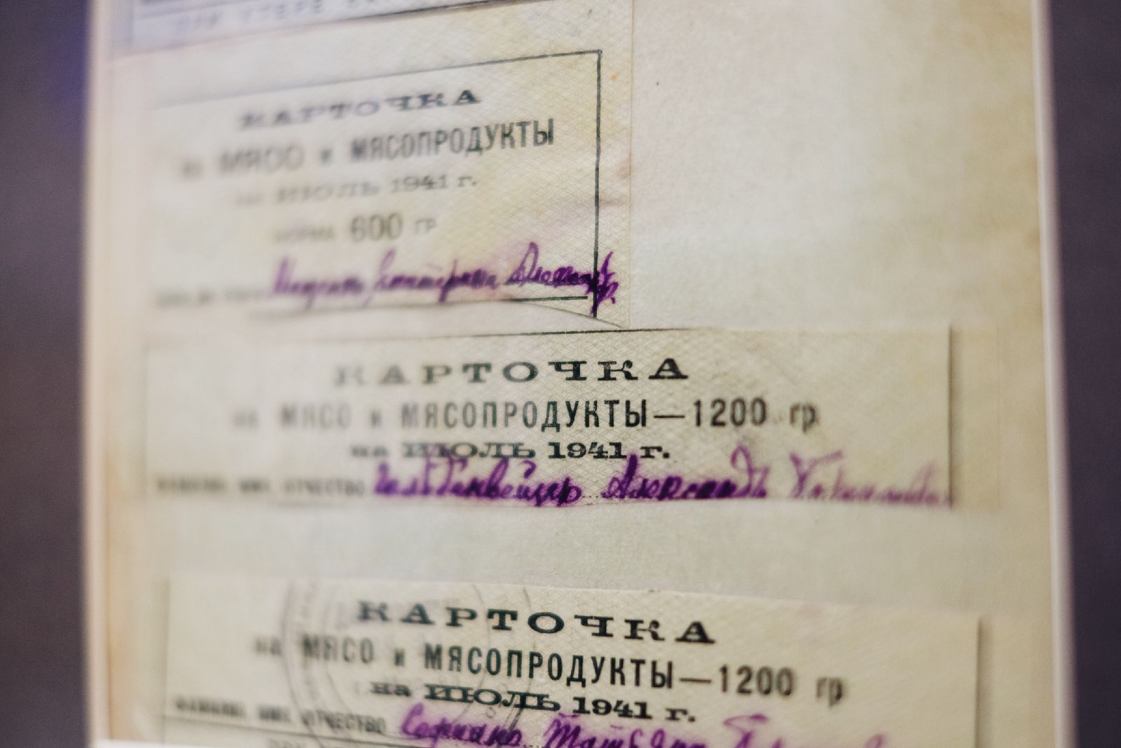 “Этот день мы приближали…” – выставка, на которой можно и нужно петь!