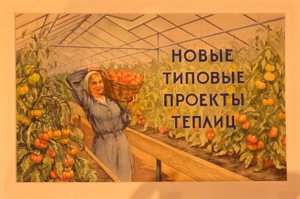 Теплица. 1950-е Вариант оформления обложки к просветительской брошюре. Новые типовые проекты теплицы. Бумага, гуашь