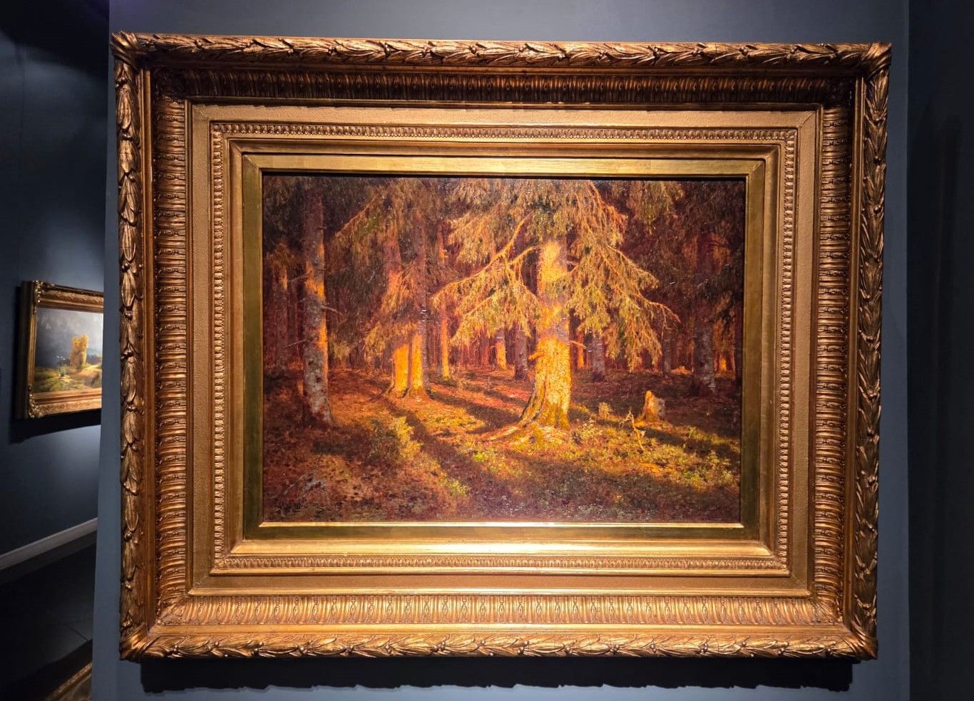Шультце И.Ф. Еловый лес. 1915