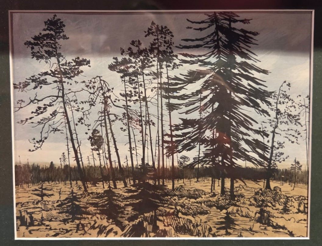 А.П.Остроумова-Лебедева 1900 бумага, ксилография цветная