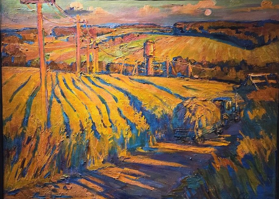 Ольга Сорокина. Поля на закате. холст, масло 2024